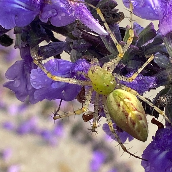 Meet your Posher, Cassie - Picture 16 of 16